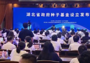 打造種子基金群，湖北重構(gòu)“創(chuàng)投+產(chǎn)投”政府引導(dǎo)基金體系