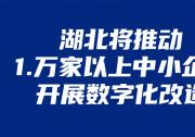 湖北將推動1萬家以上中小企業(yè)開展數(shù)字化改造|卓越級智能工廠達(dá)到50家以上|關(guān)鍵工序數(shù)控化率達(dá)到75%