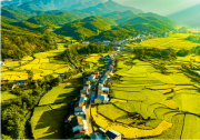 《湖北省加快推進(jìn)中小企業(yè)數(shù)字化轉(zhuǎn)型專項(xiàng)行動(dòng)方案》印發(fā)|打造全國中小企業(yè)數(shù)字化轉(zhuǎn)型先進(jìn)省份