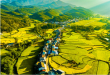 《湖北省加快推進(jìn)中小企業(yè)數(shù)字化轉(zhuǎn)型專項(xiàng)行動(dòng)方案》印發(fā)|打造全國中小企業(yè)數(shù)字化轉(zhuǎn)型先進(jìn)省份