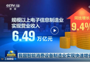 我國(guó)智能消費(fèi)設(shè)備制造業(yè)實(shí)現(xiàn)快速增長(zhǎng)