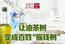 習(xí)近平總書記關(guān)切事丨讓油茶樹變成百姓“搖錢樹”——把地方特色產(chǎn)業(yè)做優(yōu)做強(qiáng)之三