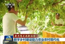 聯(lián)播 | 數(shù)字鄉(xiāng)村建設(shè)助力農(nóng)業(yè)農(nóng)村現(xiàn)代化