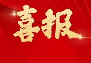 喜報 | 21所團隊和個人榮獲集團公司榮譽
