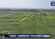  大禹節(jié)水以智慧農(nóng)業(yè)技術(shù)，為 30 萬畝青貯玉米豐收 “添動力”