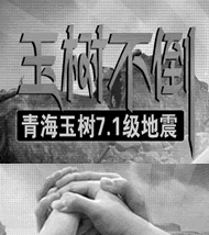 哀悼日：玉樹不倒