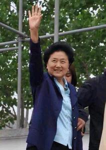 國(guó)務(wù)院副總理劉延?xùn)|參觀GE哈爾濱創(chuàng)新中心