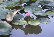 寧波“牽手”芬蘭“自動(dòng)化省” ，將碰撞出哪些火花？
