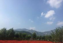 廈門(mén)機(jī)場(chǎng)入境貨物自動(dòng)化通道安裝核輻射監(jiān)測(cè)系統(tǒng)