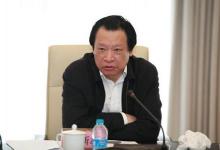 吳新雄：支持長三角區(qū)域新能源和可再生能源發(fā)展