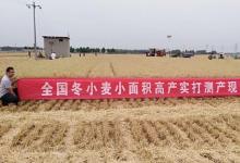 我國大規(guī)模麥?zhǔn)栈窘Y(jié)束 機收率96%創(chuàng)新高