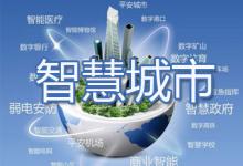 苗圩調(diào)研智慧城市建設