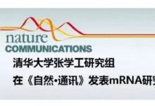清華大學、哥倫比亞大學的研究人員開發(fā)出叫做mRIN的新方法