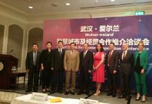 岳曉勇大使出席“武漢-愛爾蘭智慧城市及經貿合作推介洽談會”