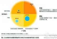 IBM《分析：速度的優(yōu)勢》，確定了四個企業(yè)分組
