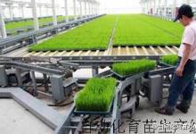 建設美麗鄉(xiāng)村 自動化大有可為
