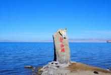 青海湖管理局叫?！盁o人機”航拍野生動物