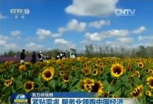 發(fā)力供給側(cè)：緊貼需求 服務(wù)業(yè)領(lǐng)跑中國(guó)經(jīng)濟(jì)