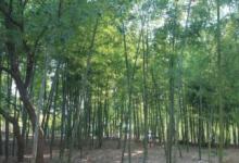 湖州首個(gè)全自動熏蒸房建成