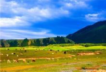 烏蘇市醫(yī)院建成自動化檢驗診斷流水線實驗室