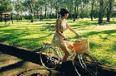 電動(dòng)自行車：混合動(dòng)力