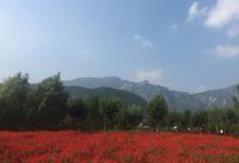 國(guó)務(wù)院辦公廳：著力推進(jìn)幸福產(chǎn)業(yè)服務(wù)消費(fèi)提質(zhì)擴(kuò)容